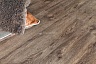фото товара Виниловый пол Alpine Floor Grand sequoia ECO 11-8 Гранд секвойя венге грей номер 6