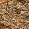 фото товара Напольная клеевая пробка Corksribas 6 мм Forest