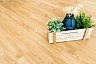 фото товара Виниловый пол Alpine Floor Sequoia ЕСО6-4 Секвойя Royal номер 4