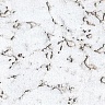 фото товара Пробковое покрытие для стен Corksribas Condor Snow
