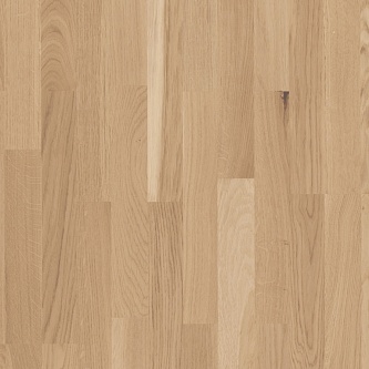 Паркетная доска Parador 1595164 Дуб простой лак матовый