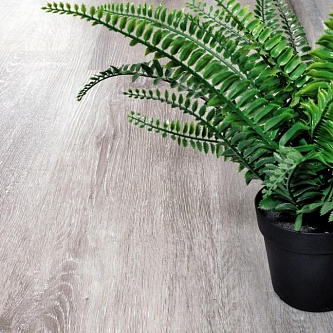 Виниловый пол Alpine Floor Classic ECO134-5 Ясень Серый