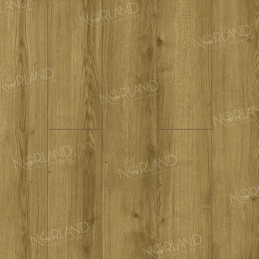 фото товара Ламинат Norland Elegant LF301-17 Дуб Фанэн