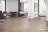 фото товара Vinilam Allure Isocore Wood 6,5 mm RX22244 Дуб Живерни номер 4