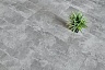 фото товара Виниловый пол Alpine Floor Stone ЕСО4-15 Ваймеа номер 3