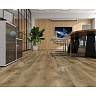 фото товара Ламинат Alpine Floor Aqua Life XL LF104-13 Дуб Арно номер 2