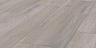 фото товара Ламинат Terhurne Trend Line 1850 1101021686 Дуб Серебристо-Серый номер 2
