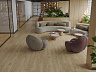 фото товара Виниловый пол Alpine Floor Grand sequoia 5 мм ECO 11-508 MC Гранд секвойя Камфора номер 2