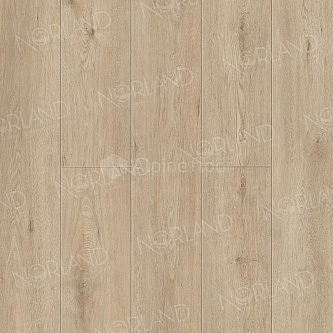 Каменный SPC ламинат Norland Sigrid Plus 1006-1 Abbi