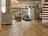фото товара WPC ламинат Alpine Floor Premium 12 ECO 24-2 Дуб Модерн номер 4