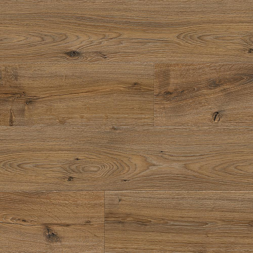 фото товара Ламинат Floorwood Paradigma 8317 Дуб Новион