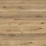 фото товара Виниловый пол Wineo DLC00064 Corn Rustic Oak