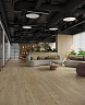 фото товара Виниловый пол Alpine Floor Grand sequoia 5 мм ECO 11-508 MC Гранд секвойя Камфора номер 3
