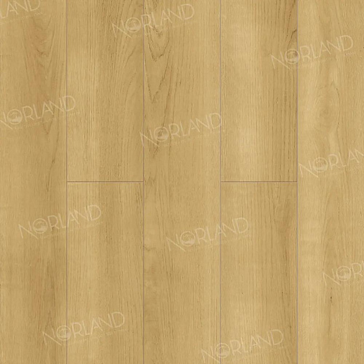 фото товара Ламинат Norland Elegant LF301-06 Дуб Лузон