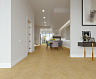 фото товара SPC плитка CM Floor Паркет (Parkett) 14 Дуб Виски номер 2