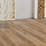 фото товара Виниловый пол Alpine Floor Premium XL ECO 7-6 Дуб Природный Изысканный