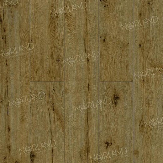 фото товара Ламинат Norland Elegant LF301-14 Дуб Скай