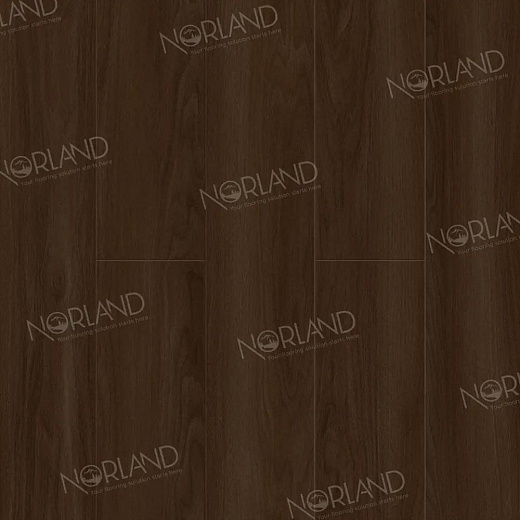 фото товара Ламинат Norland Elegant LF301-22 Дуб Треско