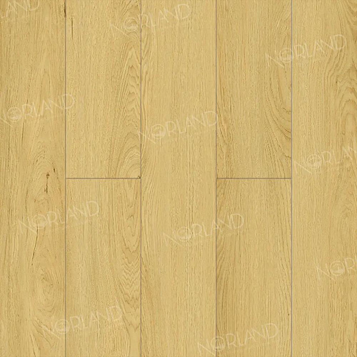 фото товара Ламинат Norland Elegant Strong LF302-08 Дуб Элмер