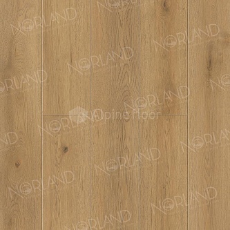 Каменный SPC ламинат Norland Sigrid Plus 1006-10 Blake
