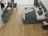 фото товара Каменный SPC ламинат Alpine Floor Eclipse Super Matt ЕСО 21-26 Калькутта номер 3