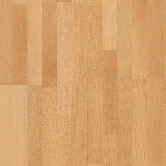 Паркетная доска Parador 1569684 Бук лак матовый