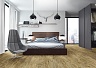 фото товара Ламинат Kronopol Akaba Platinum D3947 Tabita Oak номер 3