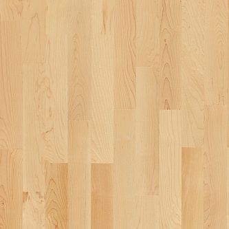 Паркетная доска Parador 1595132 Клен канадский лак матовый