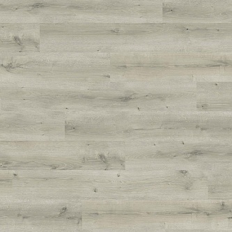 Ламинат Haro Daily Edition 8 mm 541344 Дуб Бреда Светло-Серый