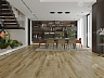 фото товара WPC ламинат Alpine Floor Premium 12 ECO 24-5 Дуб Серена номер 4