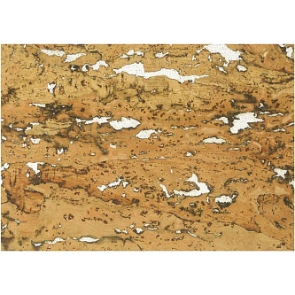 Пробковое покрытие для стен Granorte Primus Rustic White