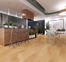 фото товара Ламинат Kronopol Milo Platinium D3033 Livorno Oak номер 5