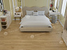фото товара WPC ламинат Alpine Floor Premium 12 ECO 24-4 Дуб Аврора номер 4