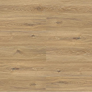 Vinilam Allure Isocore Wood XXL 6,5 mm RХ22255 Дуб Белфор