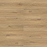 фото товара Vinilam Allure Isocore Wood XXL 6,5 mm RХ22255 Дуб Белфор