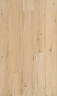 фото товара Ламинат Berry Alloc Ocean+ Гиант Натур Бежевый XL 2509 номер 2