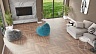 фото товара Виниловый пол Alpine Floor Parquet Premium ECO 19-2 Дуб Royal номер 3