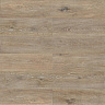 фото товара Vinilam Allure Isocore Wood 6,5 mm RX22244 Дуб Живерни