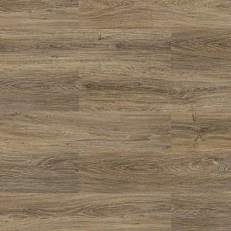 SPC FloorBee Project 1101 Таласса