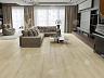 фото товара Ламинат Alpine Floor Aura LF100-18 Дуб Альтори номер 3