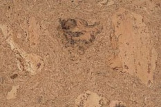 Как выбрать пробковый пол