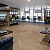 Кварцевый ламинат Damy Floor Chevron DF10-Ch Сен-Клу