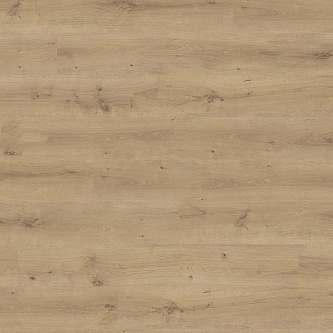 Ламинат Haro Daily Edition 8 mm 541343 Дуб Бреда Пуро