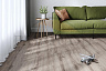 фото товара Виниловый ламинат SPC The Floor Wood P1001 Dillon Oak номер 5