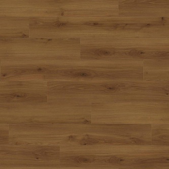 Ламинат Haro Tritty 100 Silent CT 541510 Дуб Эмилия Янтарный